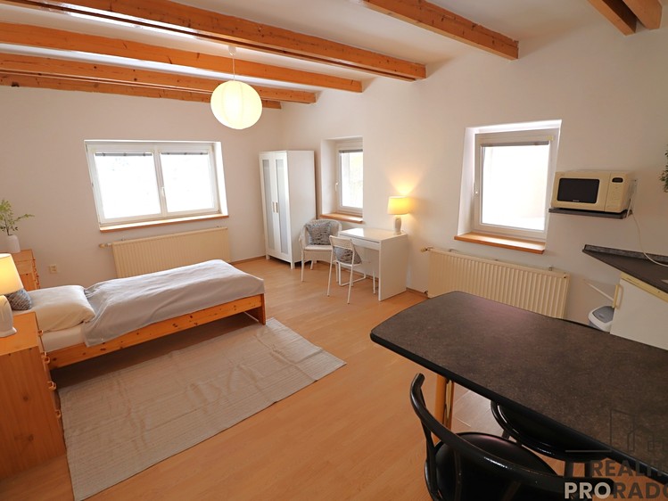 Pronájem bytu 1+kk 33 m² (Jednopodlažní) - foto 2