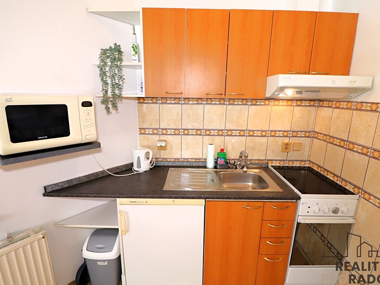 Pronájem bytu 1+kk 33 m² (Jednopodlažní) - foto 4
