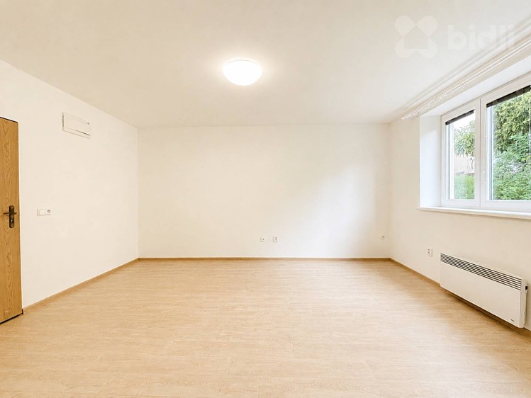 Pronájem bytu 1+1 25 m² - foto 4