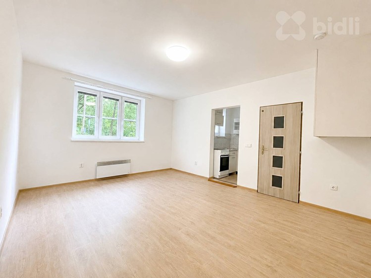Pronájem bytu 1+1 25 m² - foto 2