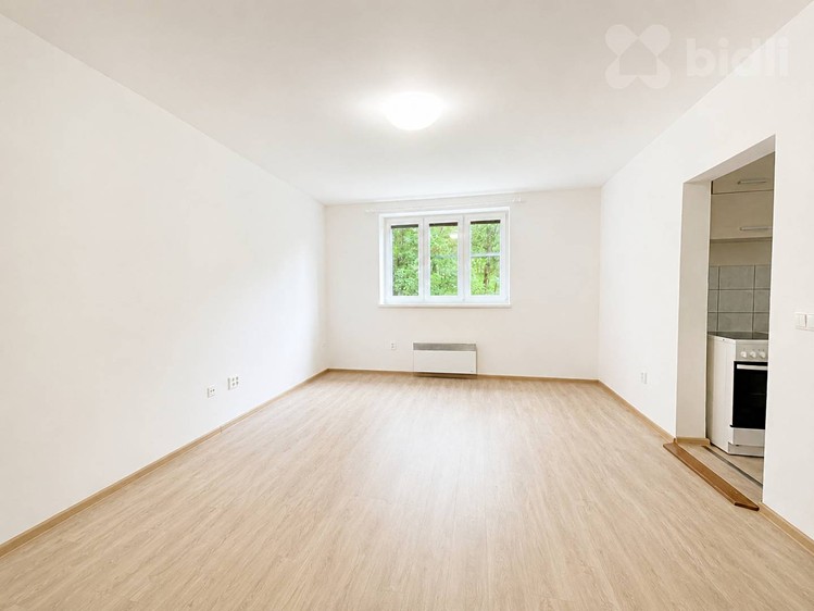 Pronájem bytu 1+1 25 m² - foto 1