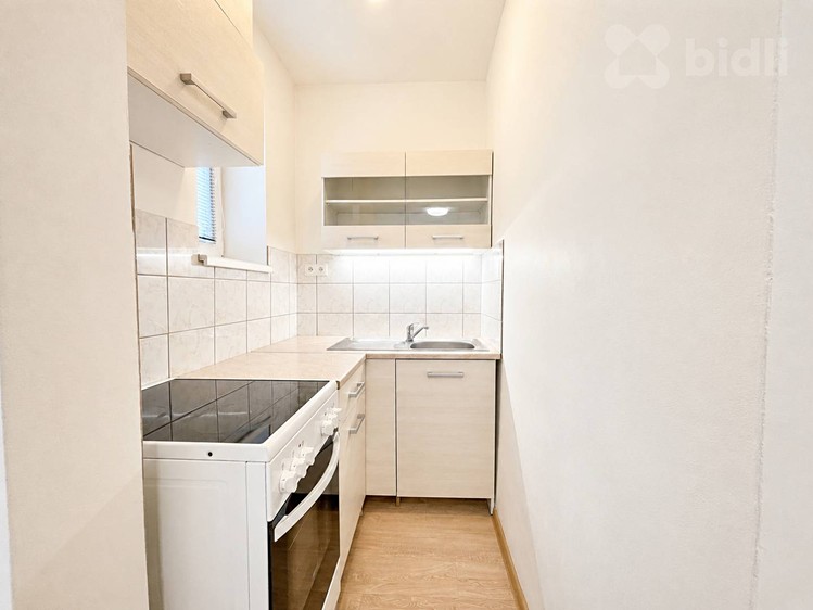 Pronájem bytu 1+1 25 m² - foto 7