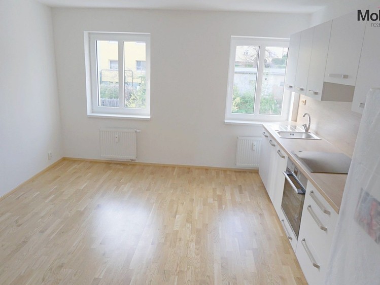 Pronájem bytu 3+kk 63 m² - foto 3