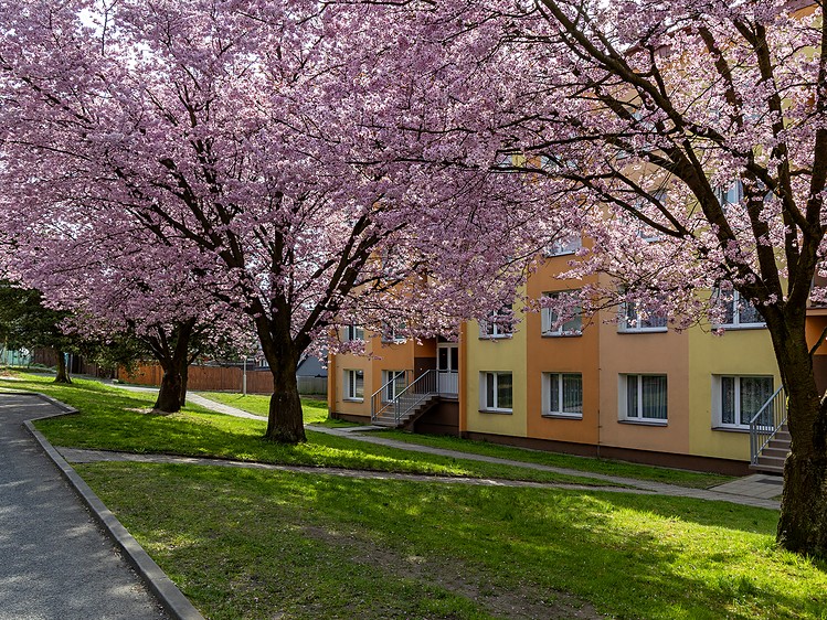 Pronájem bytu 2+1 55 m² - foto 4