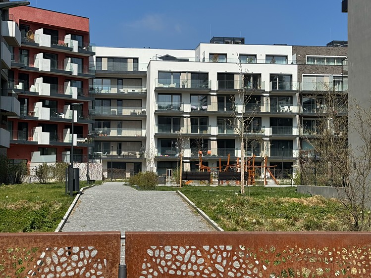 Pronájem bytu 1+kk 29 m² (Jednopodlažní) - foto 6