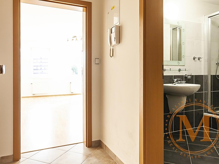 Pronájem bytu 1+kk 42 m² - foto 8