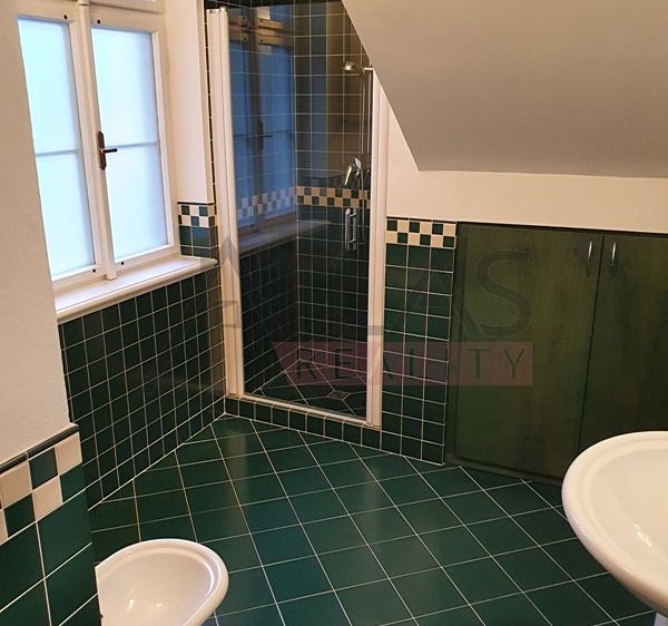 Pronájem bytu 4+1 170 m² - foto 6