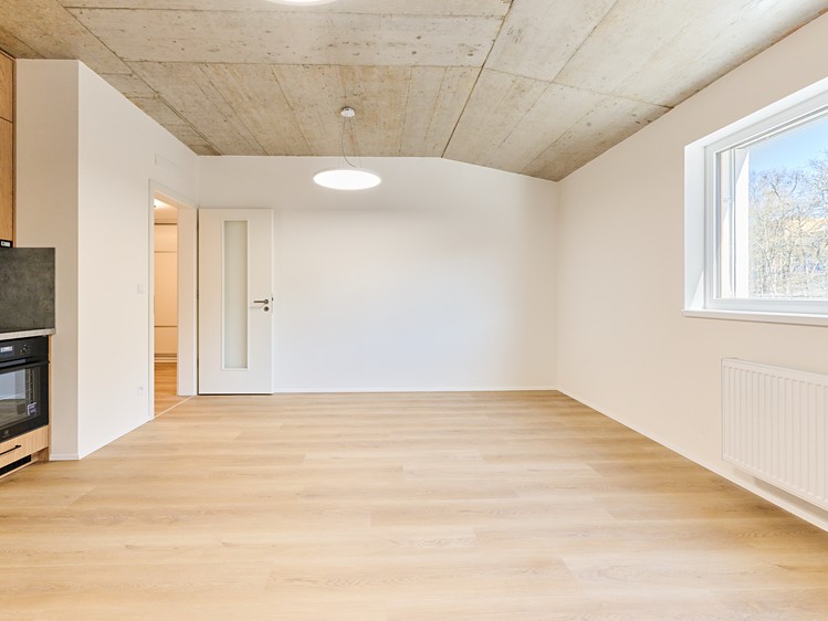 Pronájem bytu 2+kk 55 m² (Jednopodlažní) - foto 2