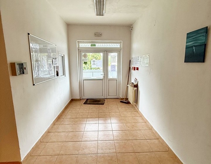 Pronájem bytu 1+kk 50 m² - foto 4