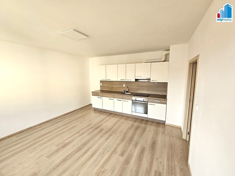 Pronájem bytu 1+kk 39 m² - foto 3