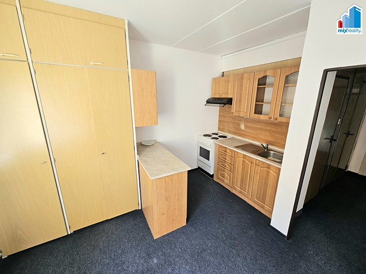 Pronájem bytu 1+1 39 m² - foto 4