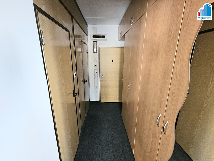 Pronájem bytu 1+1 39 m² - foto 8