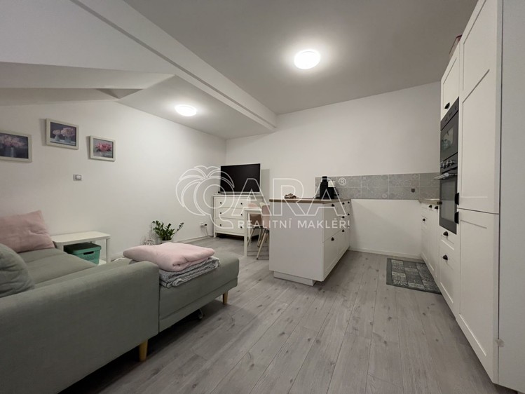 Pronájem bytu 2+kk 55 m² - foto 3