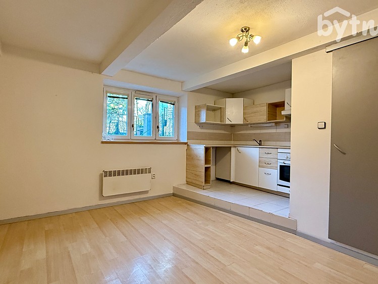 Pronájem bytu 1+1 49 m² - foto 1