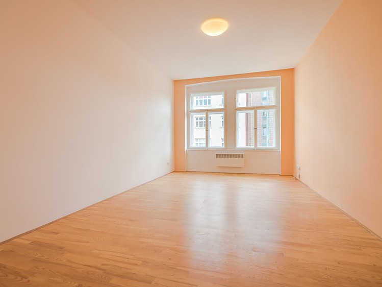Pronájem bytu 1+kk 38 m² (Jednopodlažní) - foto 4