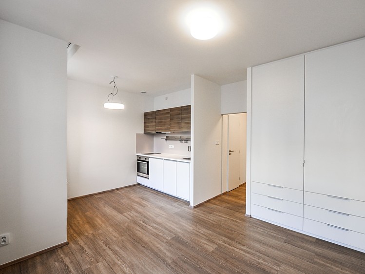 Pronájem bytu 1+kk 30 m² (Jednopodlažní) - foto 1