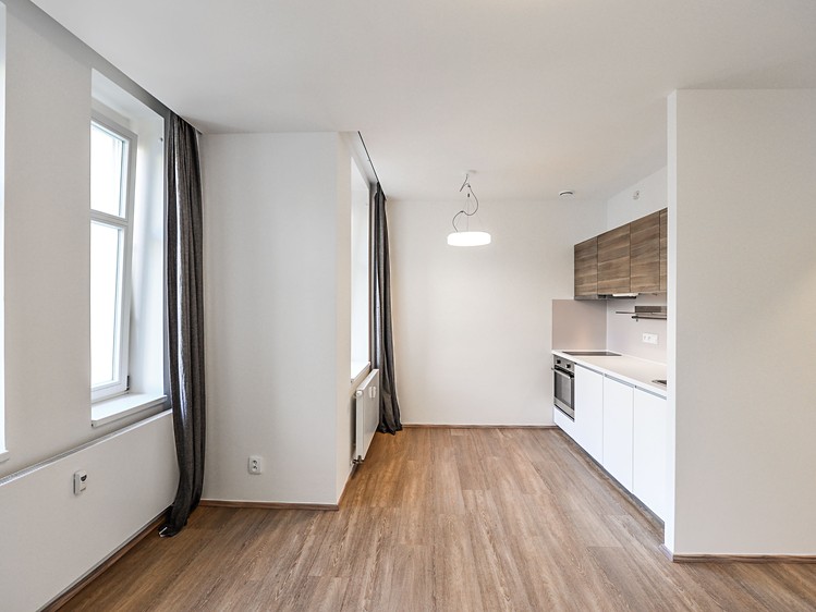 Pronájem bytu 1+kk 30 m² (Jednopodlažní) - foto 3