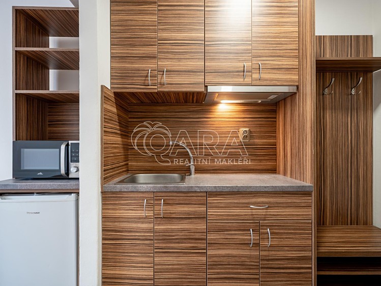 Pronájem bytu 1+kk 21 m² - foto 1