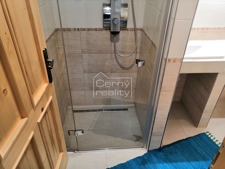 Pronájem bytu 2+kk 46 m² - foto 4