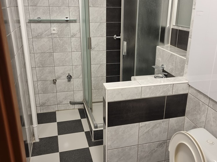 Pronájem bytu 1+1 38 m² - foto 4