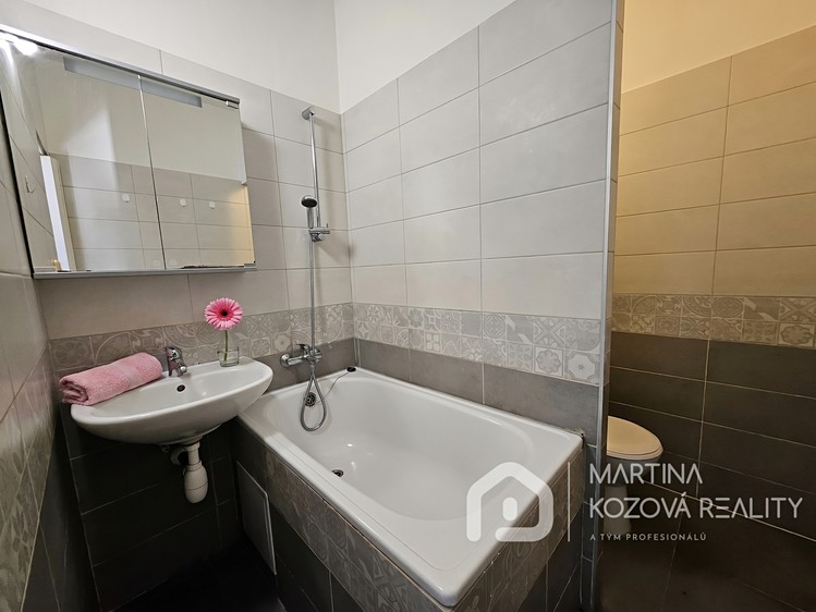 Pronájem bytu 2+kk 40 m² - foto 3
