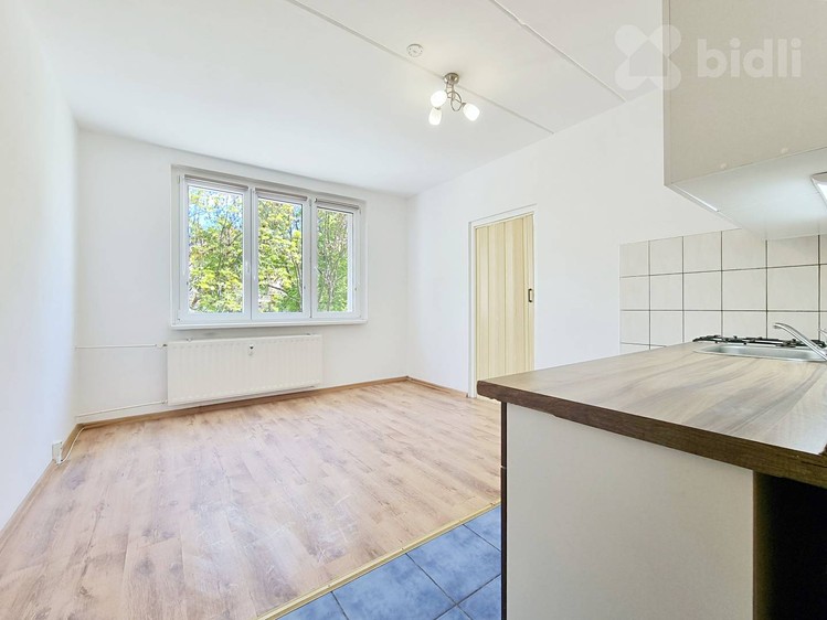 Pronájem bytu 1+1 35 m² - foto 1