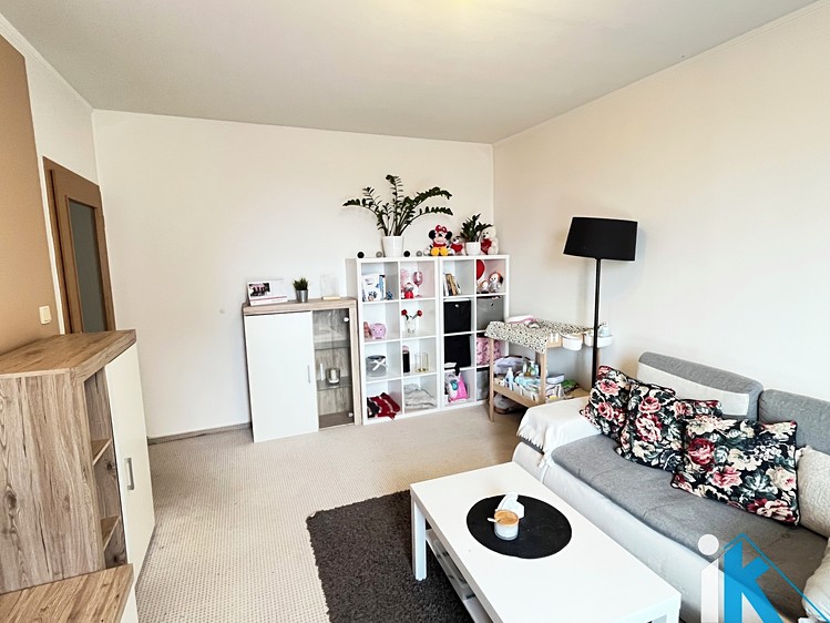Pronájem bytu 2+1 58 m² - foto 3