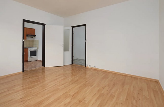 Pronájem bytu 2+1 43 m² - foto 1