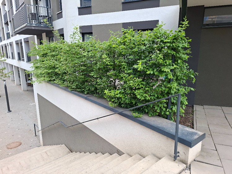 Pronájem bytu 3+kk 71 m² - foto 7