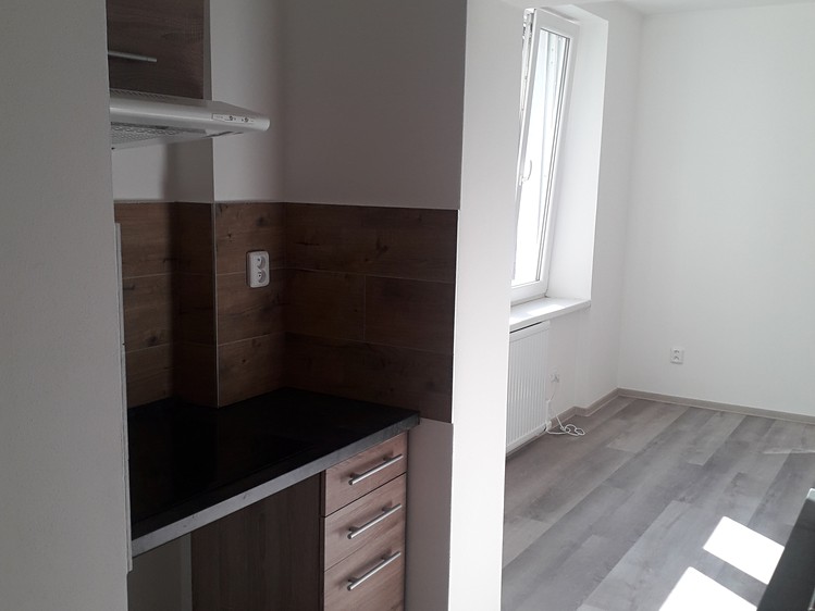Pronájem bytu 1+1 35 m² - foto 4