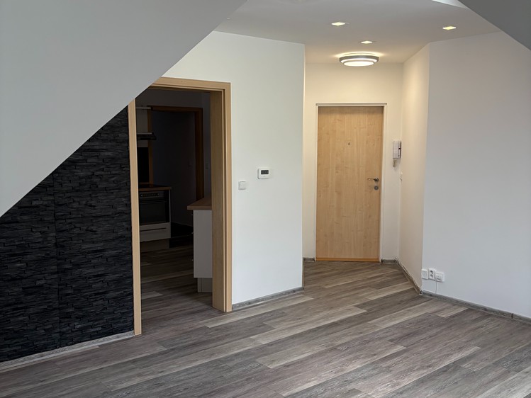 Pronájem bytu 2+1 60 m² (Podkrovní) - foto 4