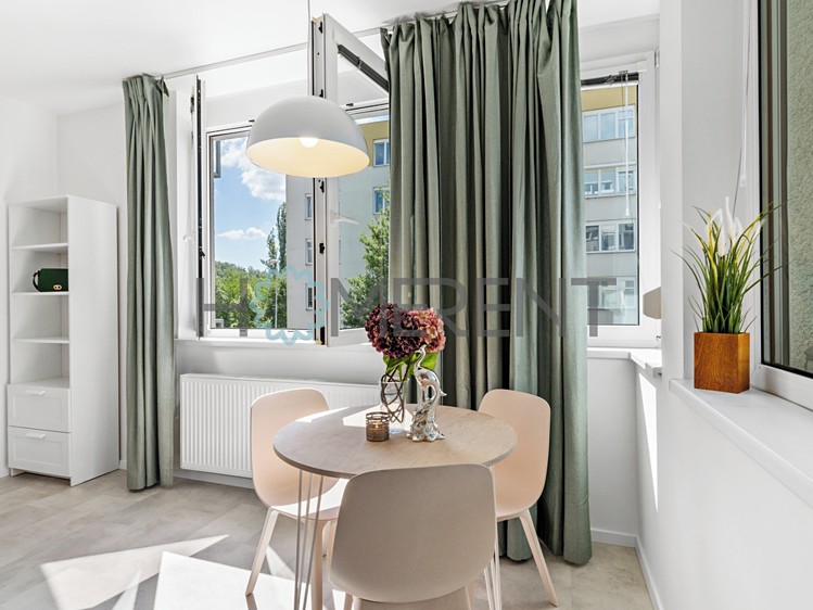 Pronájem bytu 1+kk 43 m² (Jednopodlažní) - foto 7