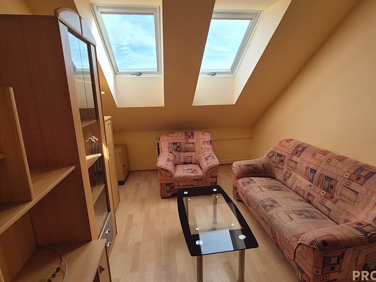 Pronájem bytu 3+1 65 m² (Podkrovní) - foto 4