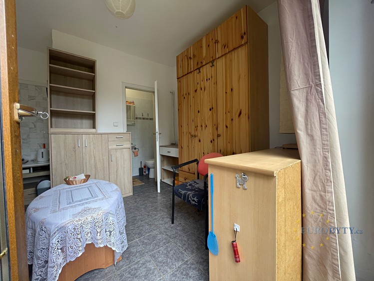 Pronájem bytu 1+kk 12 m² - foto 4