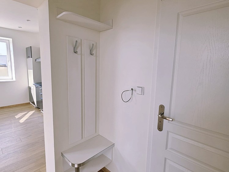 Pronájem bytu 2+kk 44 m² (Jednopodlažní) - foto 4