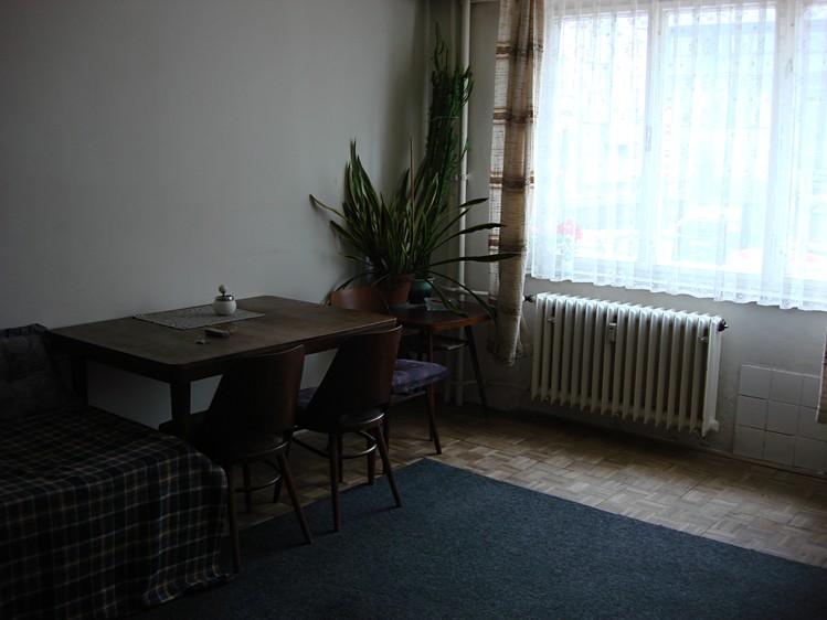 Pronájem bytu 1+kk 26 m² (Jednopodlažní) - foto 1