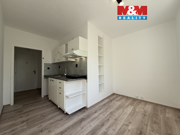 Pronájem bytu 1+1 42 m² - foto 1