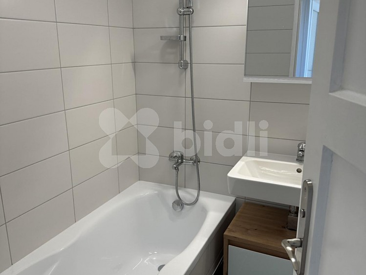 Pronájem bytu 1+1 45 m² - foto 3