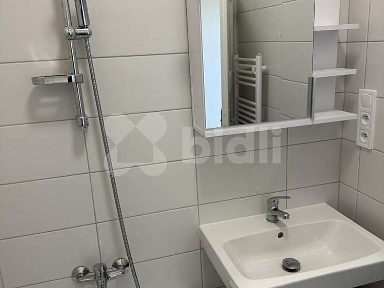 Pronájem bytu 1+1 45 m² - foto 4