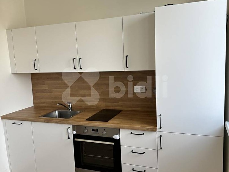 Pronájem bytu 1+1 45 m² - foto 5
