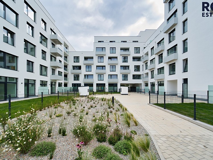 Pronájem bytu 1+kk 31 m² (Jednopodlažní) - foto 4