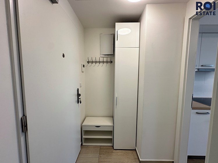 Pronájem bytu 1+kk 31 m² (Jednopodlažní) - foto 6
