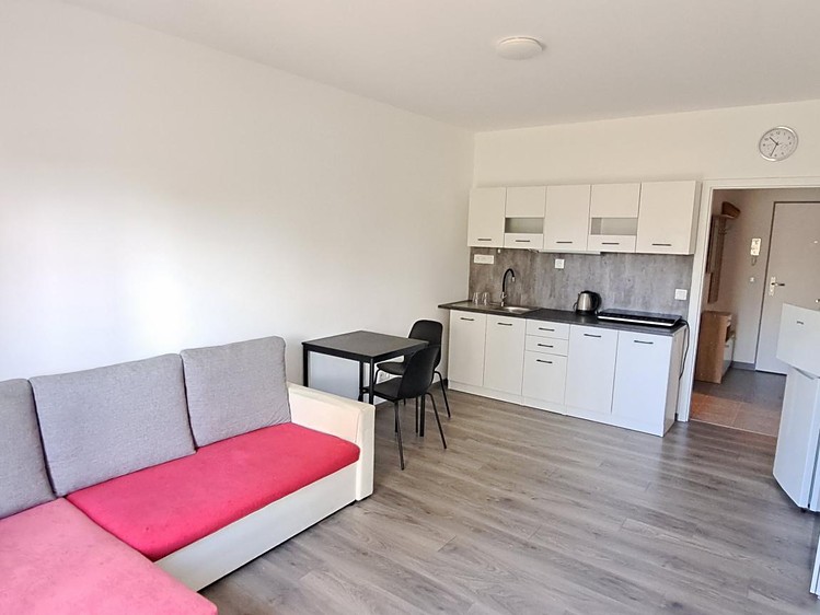 Pronájem bytu 1+kk 33 m² - foto 1