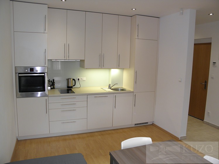 Pronájem bytu 2+1 65 m² (Jednopodlažní) - foto 1