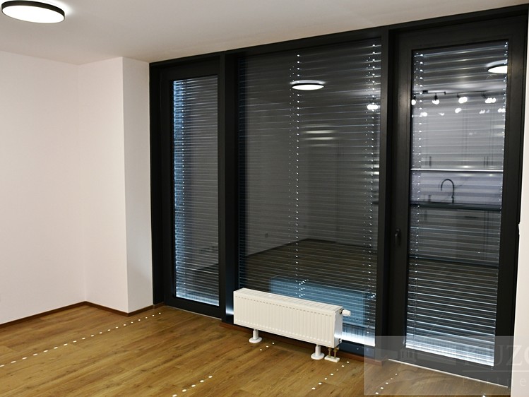 Pronájem bytu 1+kk 33 m² (Jednopodlažní) - foto 4