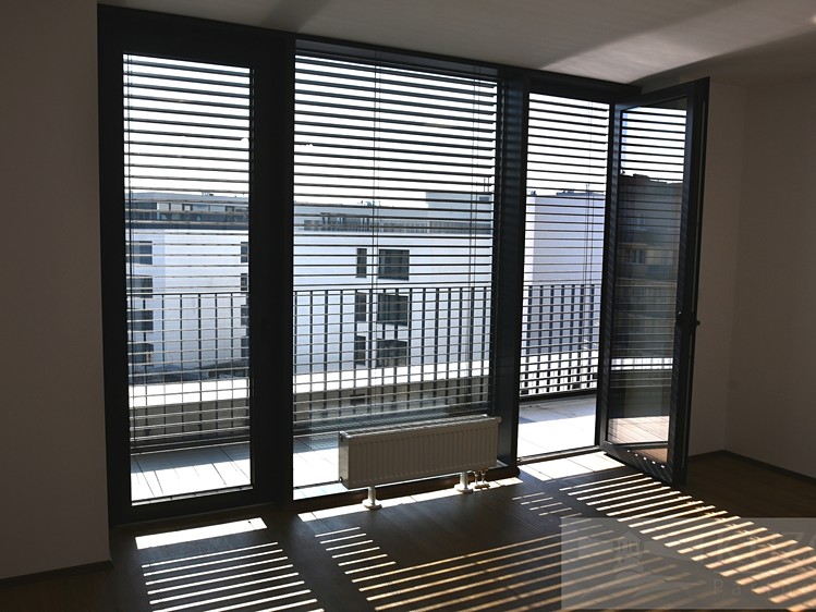 Pronájem bytu 1+kk 33 m² (Jednopodlažní) - foto 3