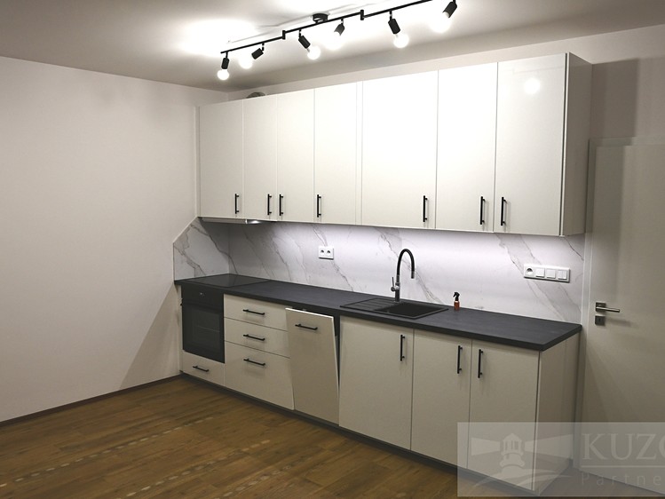 Pronájem bytu 1+kk 33 m² (Jednopodlažní) - foto 5
