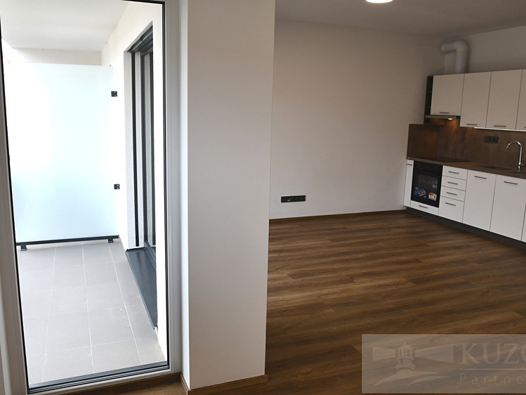 Pronájem bytu 1+kk 43 m² (Jednopodlažní) - foto 4