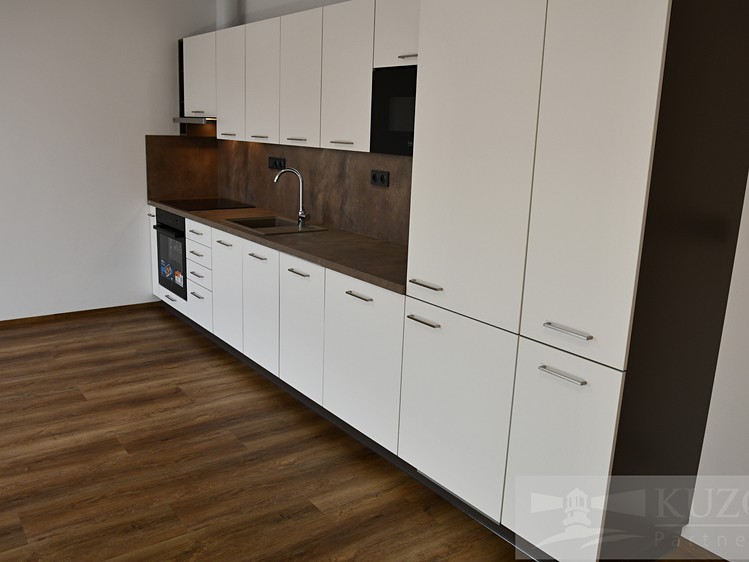 Pronájem bytu 1+kk 43 m² (Jednopodlažní) - foto 8