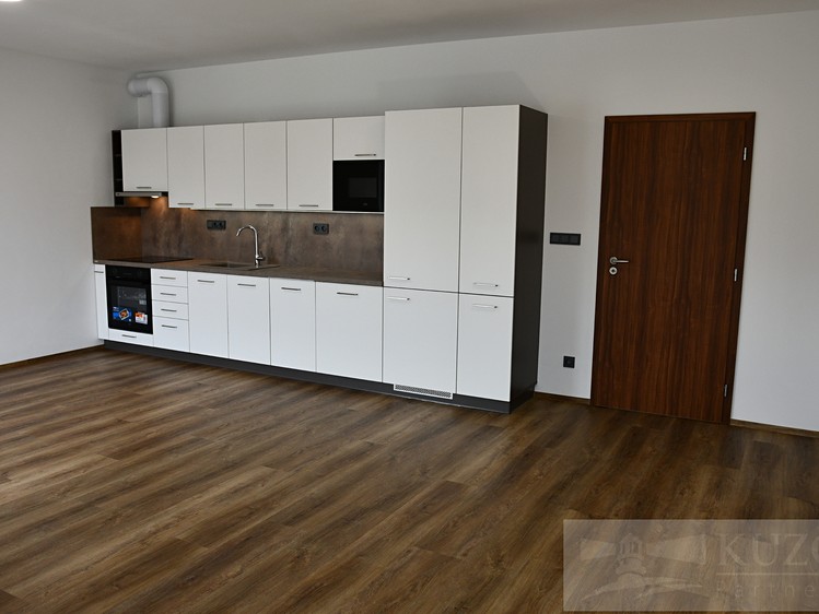 Pronájem bytu 1+kk 43 m² (Jednopodlažní) - foto 5